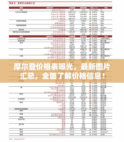 摩尔登价格表曝光，最新图片汇总，全面了解价格信息！