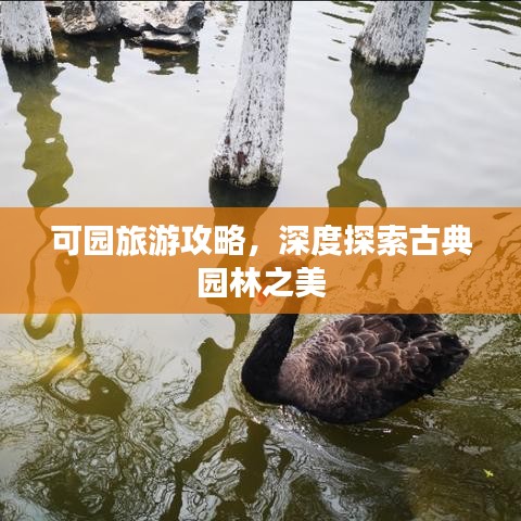 可园旅游攻略，深度探索古典园林之美