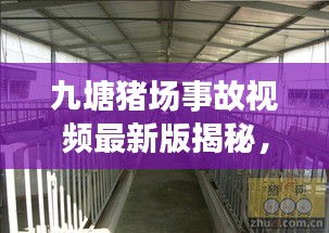 九塘猪场事故视频最新版揭秘，事故背后的反思与启示