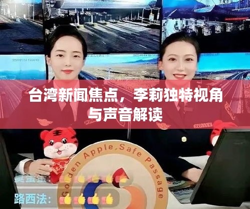 台湾新闻焦点，李莉独特视角与声音解读