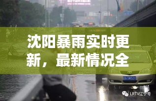 沈阳暴雨实时更新，最新情况全面报道
