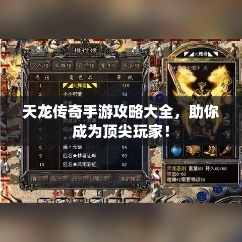 天龙传奇手游攻略大全，助你成为顶尖玩家！