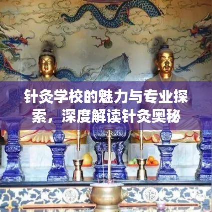针灸学校的魅力与专业探索，深度解读针灸奥秘