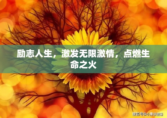 励志人生，激发无限激情，点燃生命之火