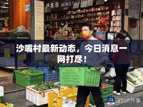 沙嘴村最新动态，今日消息一网打尽！