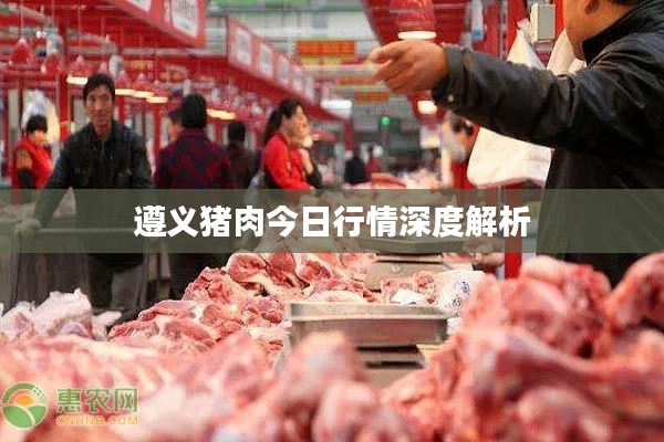 遵义猪肉今日行情深度解析
