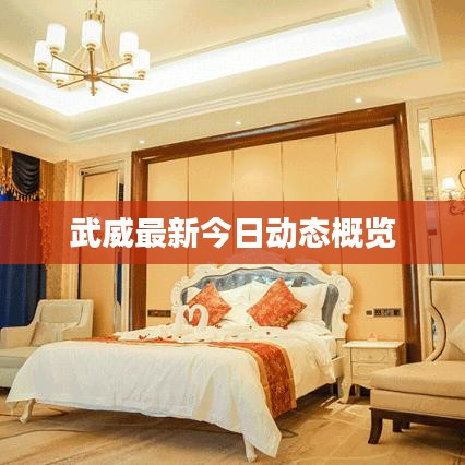 武威最新今日动态概览
