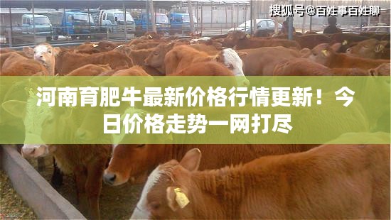 河南育肥牛最新价格行情更新！今日价格走势一网打尽