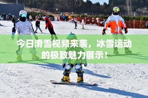 今日滑雪视频来袭，冰雪运动的极致魅力展示！