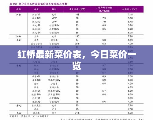 红桥最新菜价表，今日菜价一览