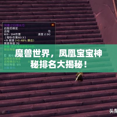 魔兽世界，凤凰宝宝神秘排名大揭秘！