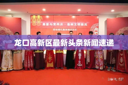 龙口高新区最新头条新闻速递