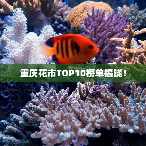 重庆花市TOP10榜单揭晓！