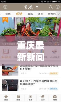 重庆最新新闻头条概览
