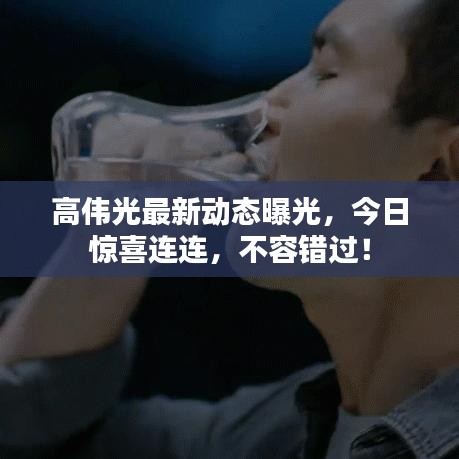 高伟光最新动态曝光，今日惊喜连连，不容错过！