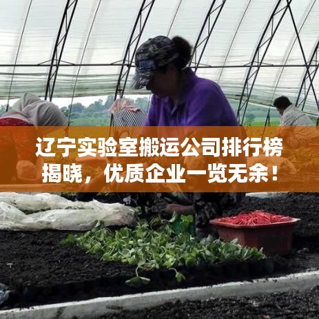 辽宁实验室搬运公司排行榜揭晓，优质企业一览无余！