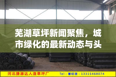 芜湖草坪新闻聚焦，城市绿化的最新动态与头条资讯