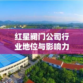 红星阀门公司行业地位与影响力揭秘，排名及影响力不容小觑