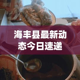 海丰县最新动态今日速递