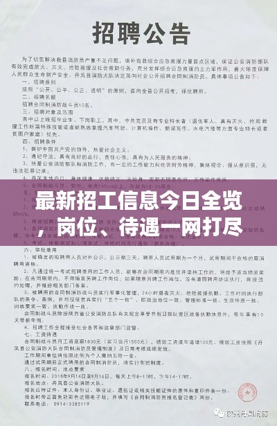 最新招工信息今日全览，岗位、待遇一网打尽