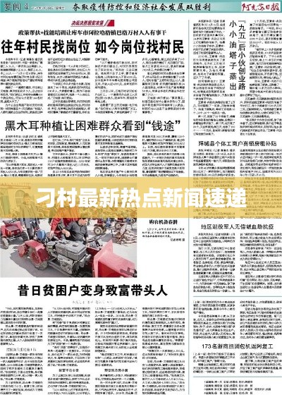 刁村最新热点新闻速递