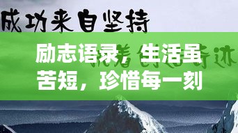 励志语录，生活虽苦短，珍惜每一刻闪耀时光