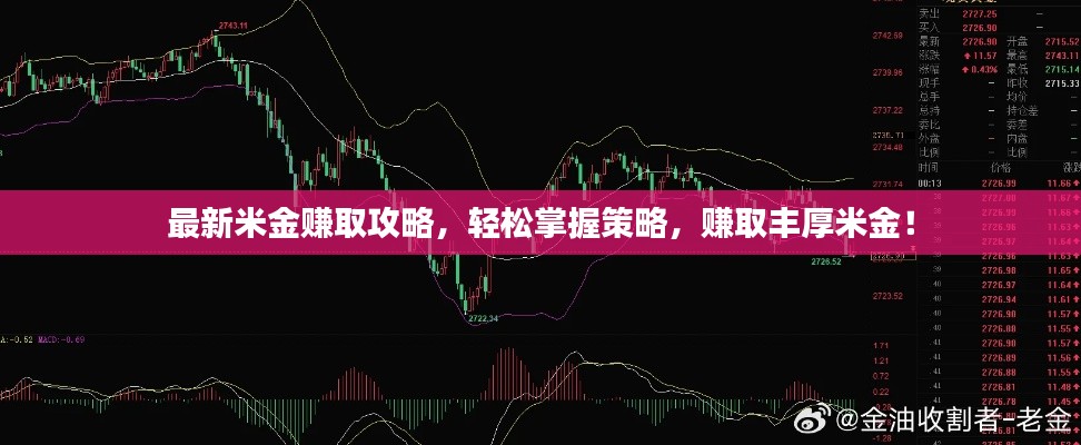 最新米金赚取攻略，轻松掌握策略，赚取丰厚米金！