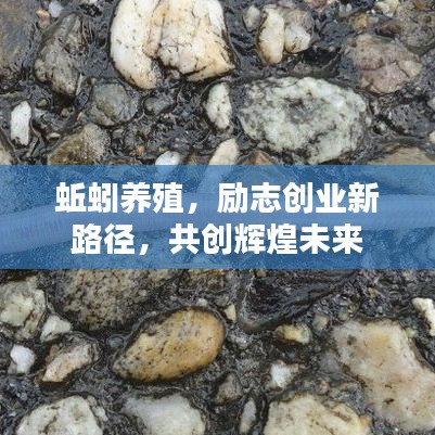 蚯蚓养殖，励志创业新路径，共创辉煌未来