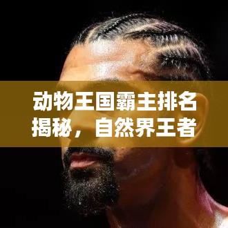 动物王国霸主排名揭秘，自然界王者之巅