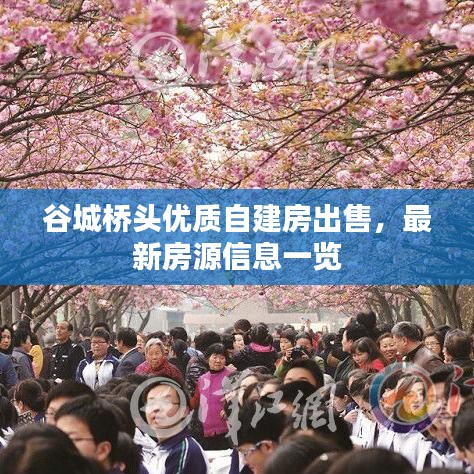 谷城桥头优质自建房出售，最新房源信息一览
