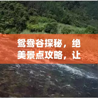 鸳鸯谷探秘，绝美景点攻略，让你的旅行更精彩！