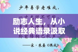 励志人生，从小说经典语录汲取力量，激发无限潜能！