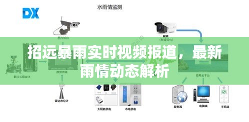 招远暴雨实时视频报道，最新雨情动态解析