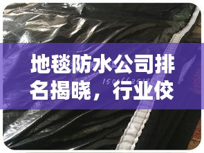 地毯防水公司排名揭晓，行业佼佼者一览无余！