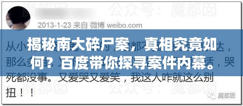 揭秘南大碎尸案，真相究竟如何？百度带你探寻案件内幕。