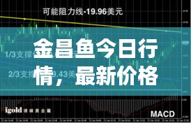 金昌鱼今日行情，最新价格分析与趋势解读