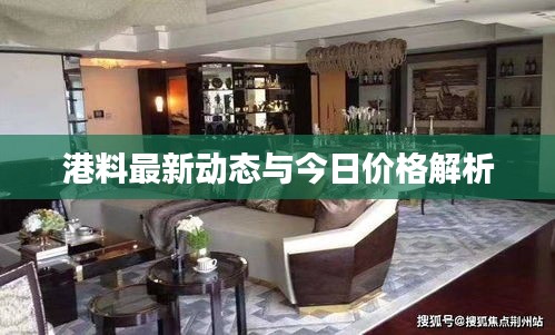 港料最新动态与今日价格解析