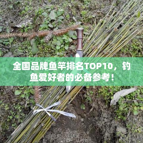 全国品牌鱼竿排名TOP10，钓鱼爱好者的必备参考！