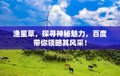 渔星草，探寻神秘魅力，百度带你领略其风采！