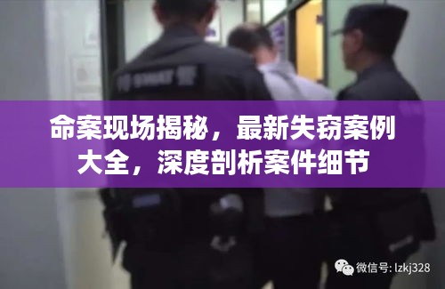 命案现场揭秘，最新失窃案例大全，深度剖析案件细节