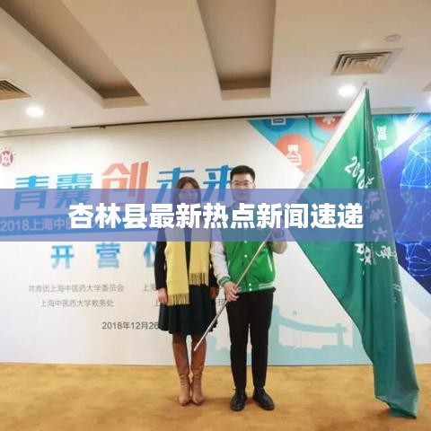 杏林县最新热点新闻速递