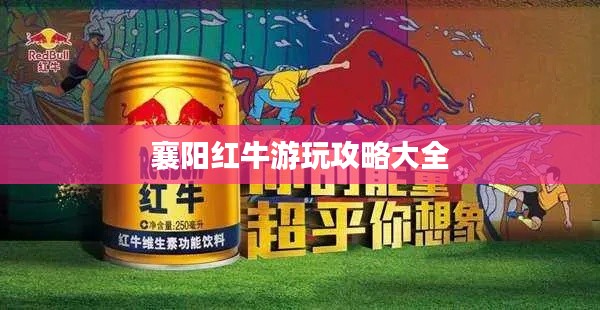 襄阳红牛游玩攻略大全