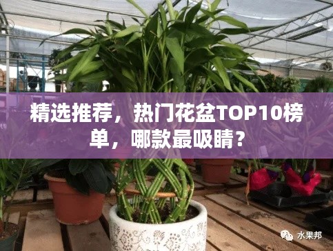 精选推荐，热门花盆TOP10榜单，哪款最吸睛？