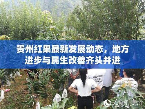 弃文就武 第2页