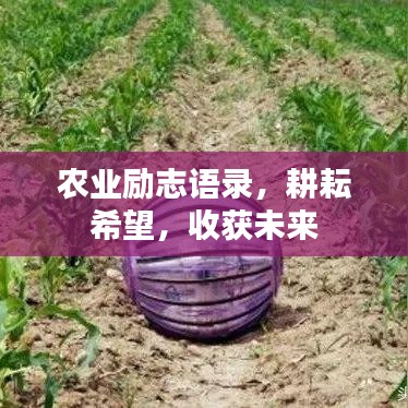 农业励志语录，耕耘希望，收获未来