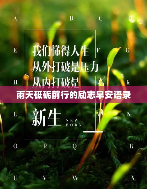 雨天砥砺前行的励志早安语录
