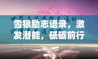 雪狼励志语录，激发潜能，砥砺前行！
