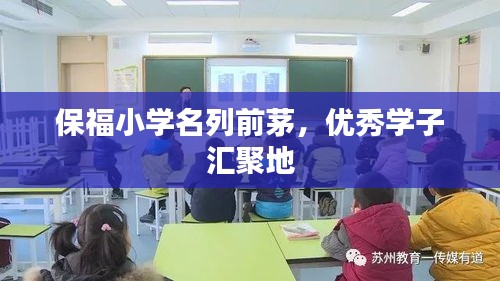 保福小学名列前茅，优秀学子汇聚地