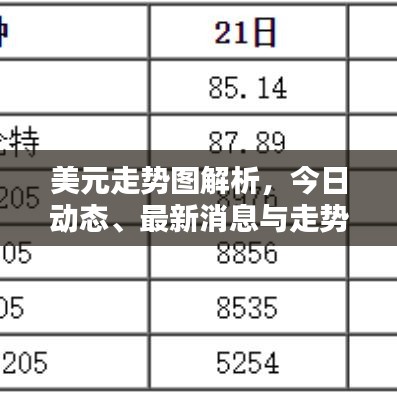 美元走势图解析，今日动态、最新消息与走势预测