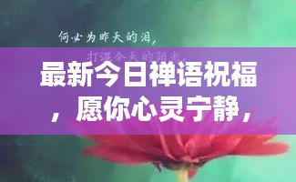 最新今日禅语祝福，愿你心灵宁静，生活美满